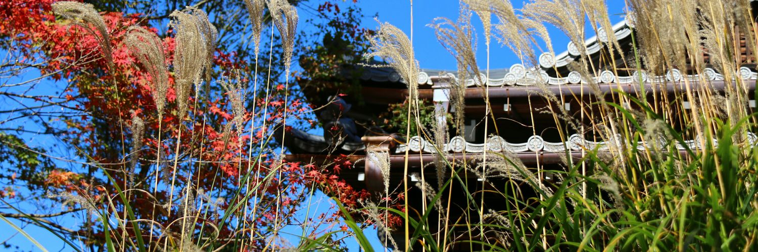 OrcaChi's profile banner image