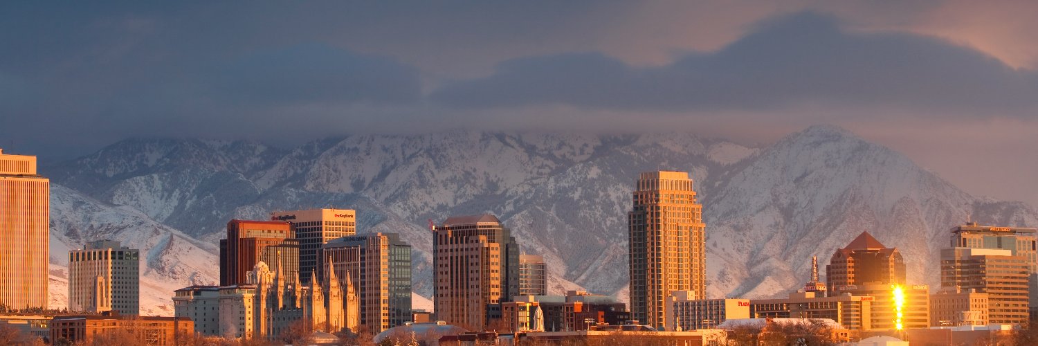 Mayor Erin Mendenhall banner