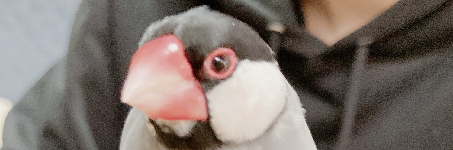 Chick204's profile banner image