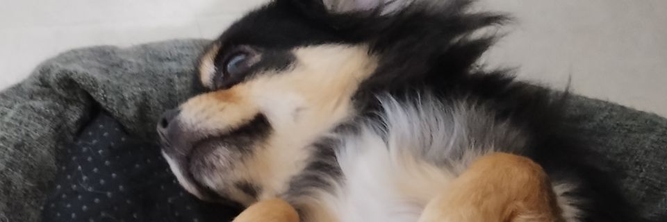 piece_of24's profile banner image