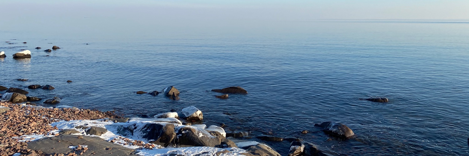 Darci Schummer banner