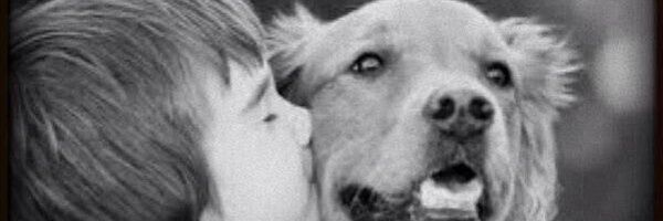 MiAng3l Profile Banner