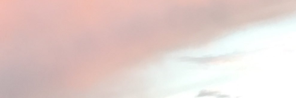 Aron McLean Simkins banner