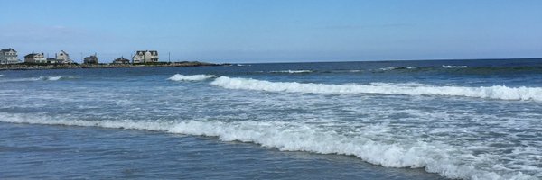 BarbVinal Profile Banner