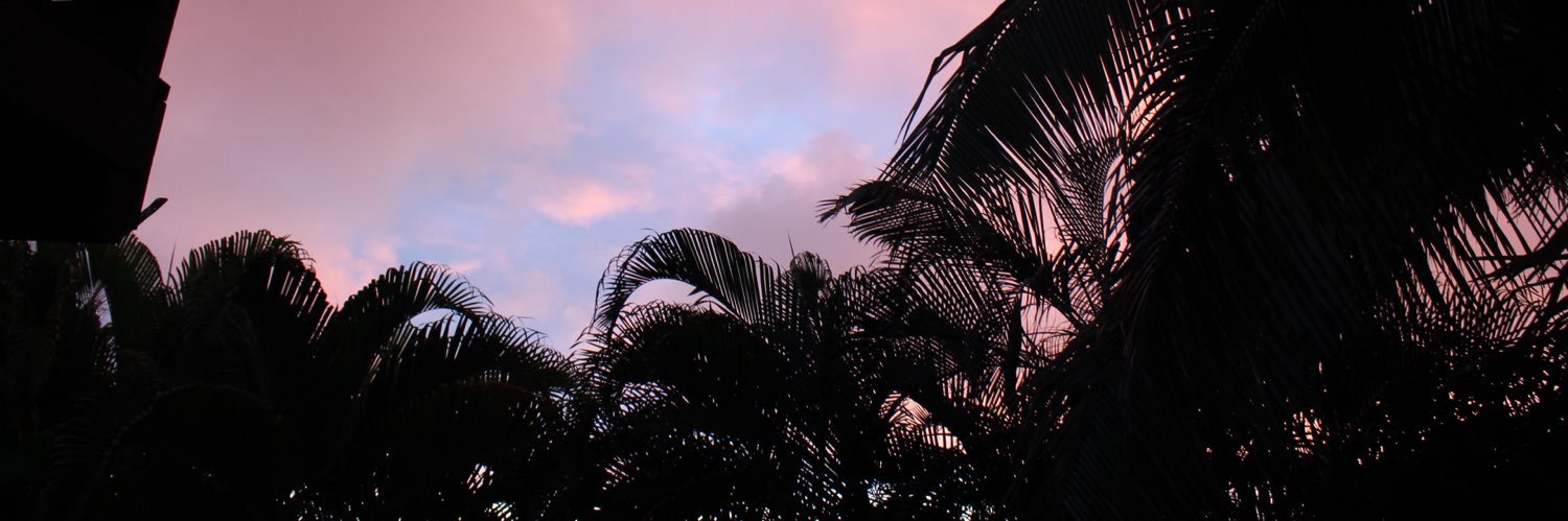 kewi_riv's profile banner image