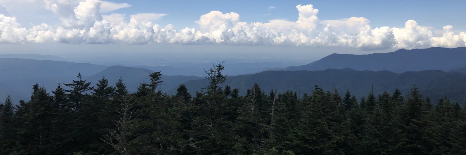 Meghan Staley banner