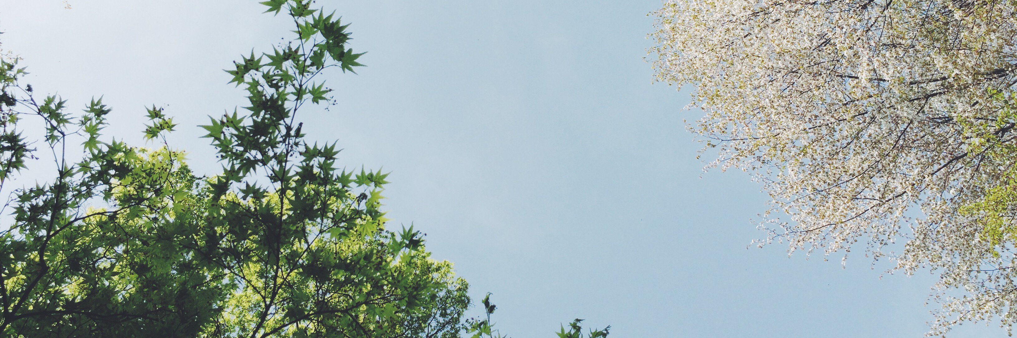 jakanoon's profile banner image