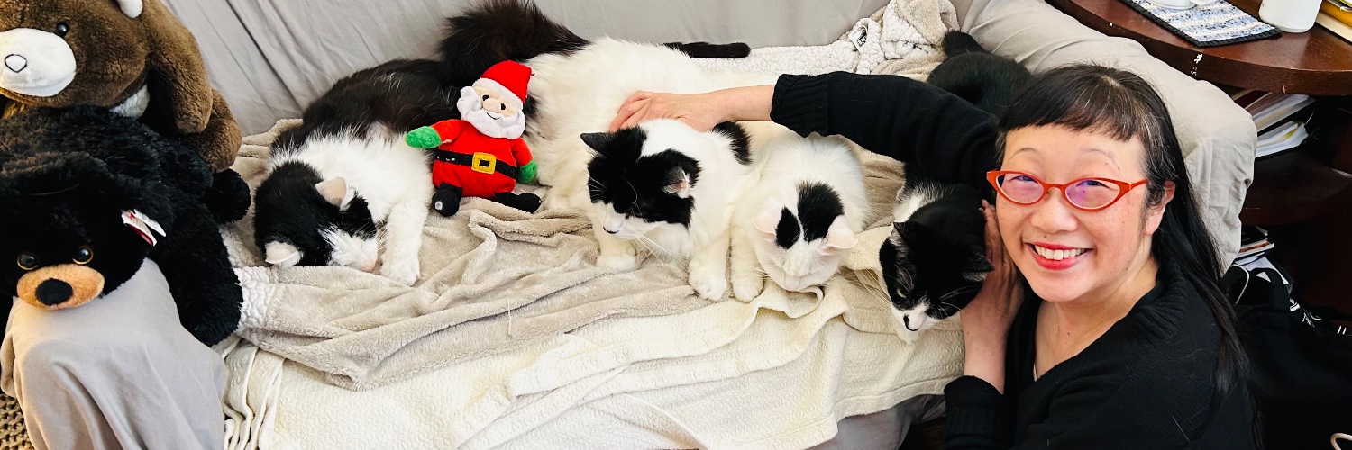 Oreo The Cat Yoo banner