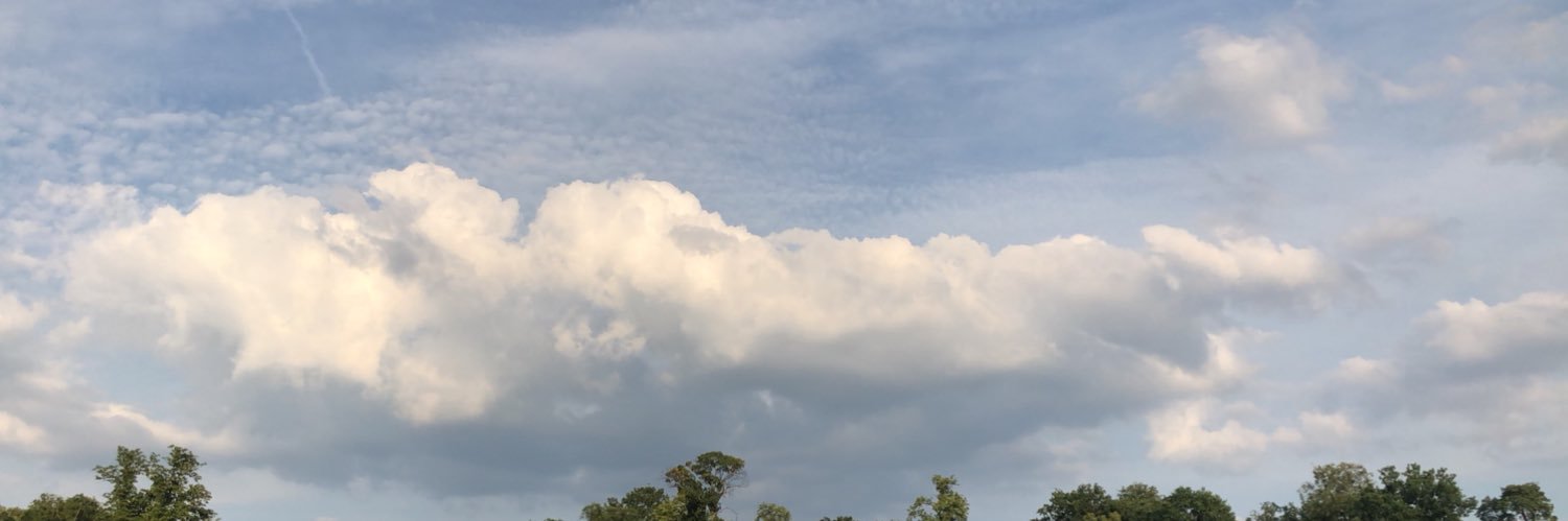. banner