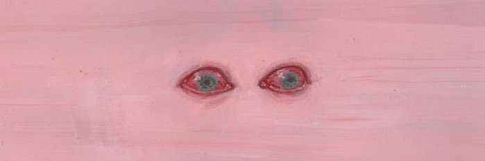 NudeNative's profile banner image