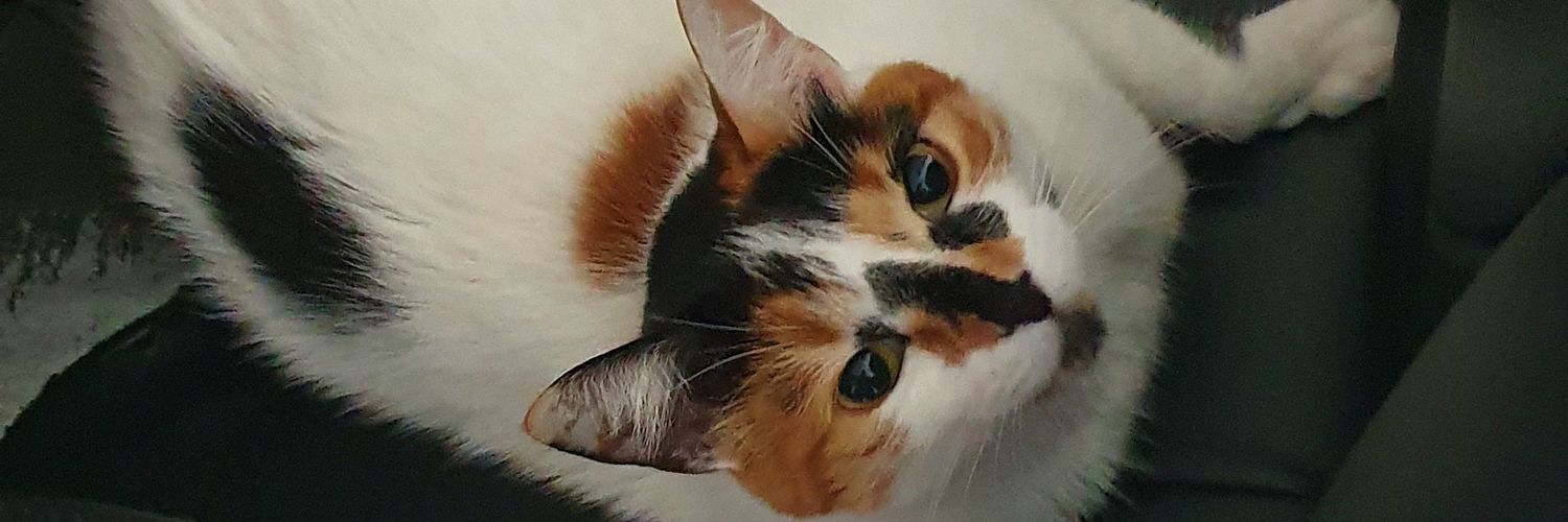JFranRoj's profile banner image