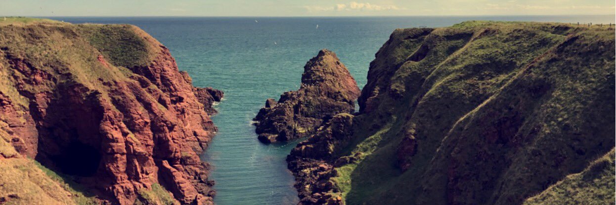 argyle_1's profile banner image