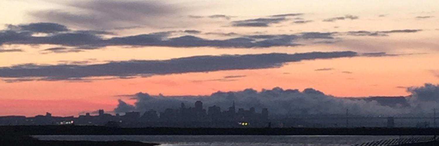 the_premonition's profile banner image