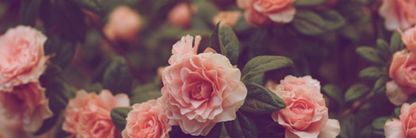 dwirustianaa's profile banner image