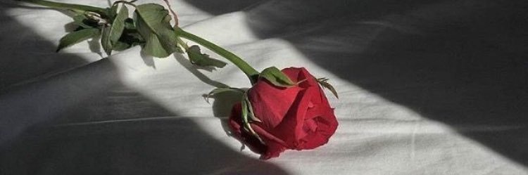 MichelleOSulli's profile banner image