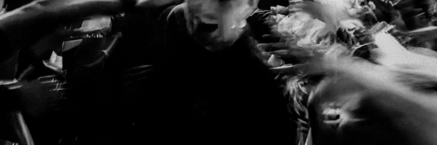 pantera cor de pau banner