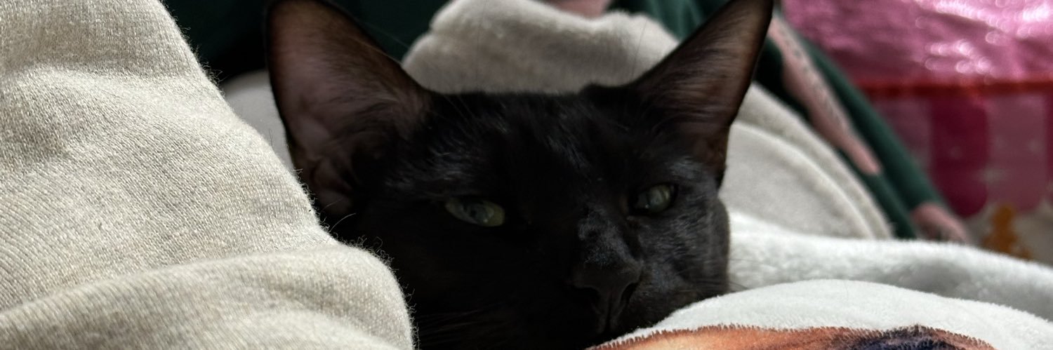 5lJyej's profile banner image