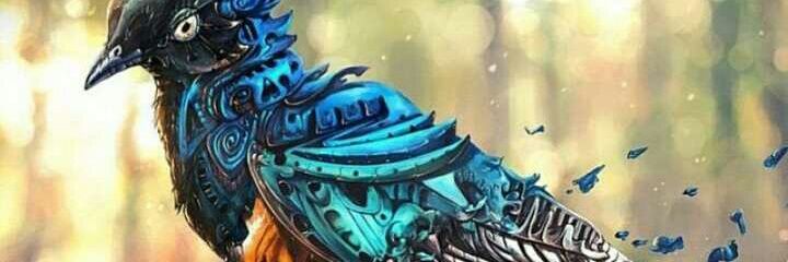 gracefullykelly's profile banner image
