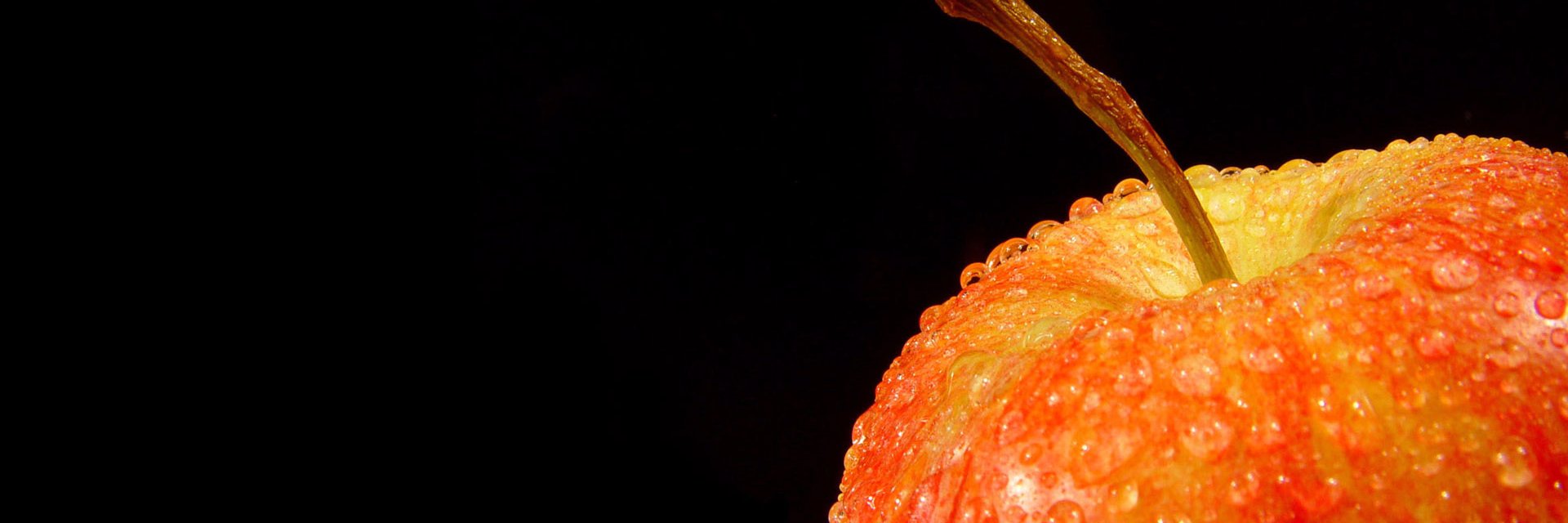 Доктор Мяу banner