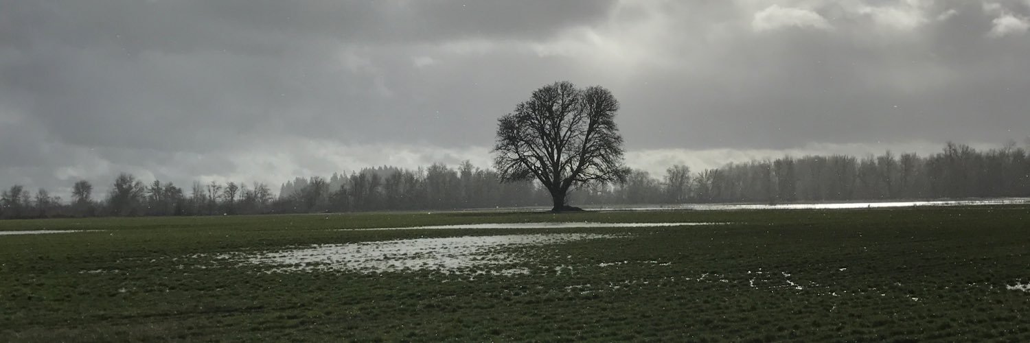 Dublanko10's profile banner image