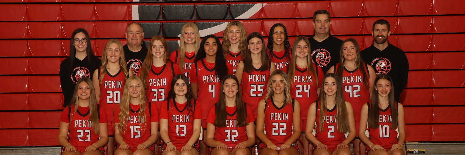 Lady Dragons Hoops banner