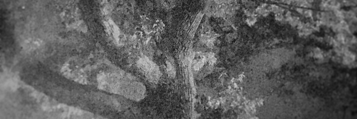 PaulBlanton2's profile banner image