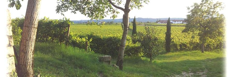 CaraValpo's profile banner image