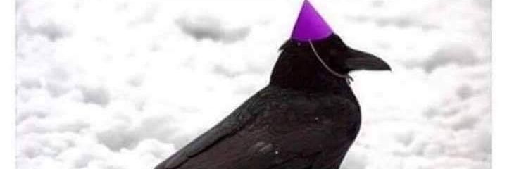 Lore Robot 🛸 banner