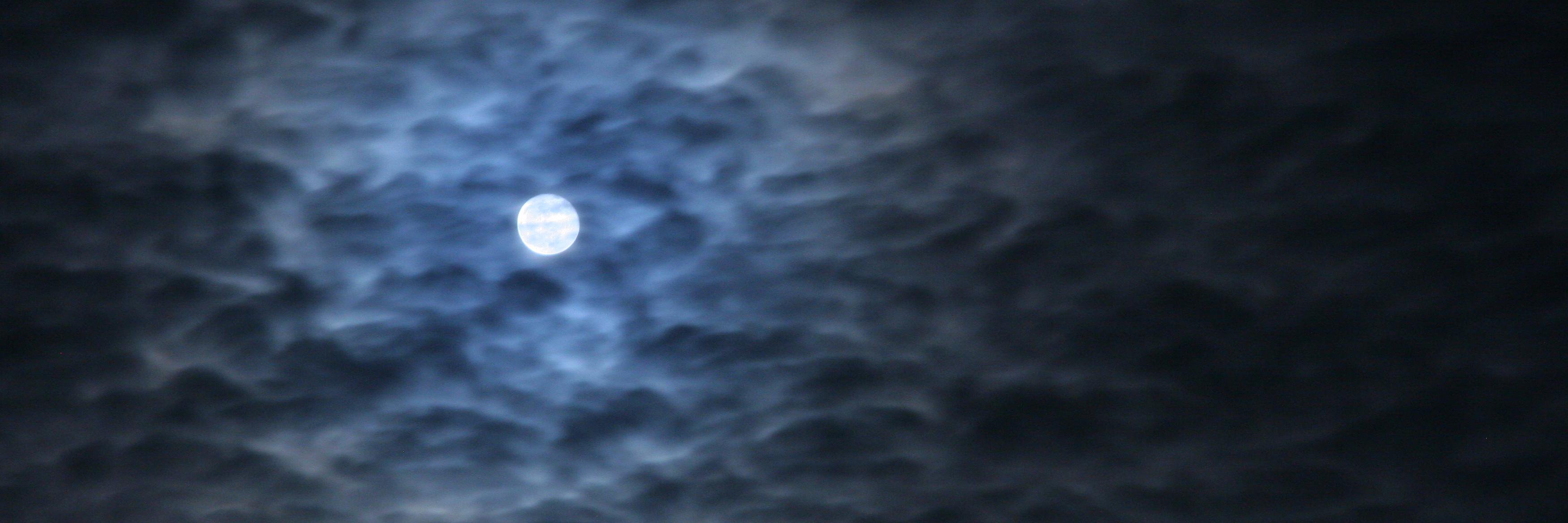 moonpolice666's profile banner image