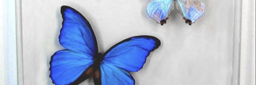 _Assshleeey's profile banner image