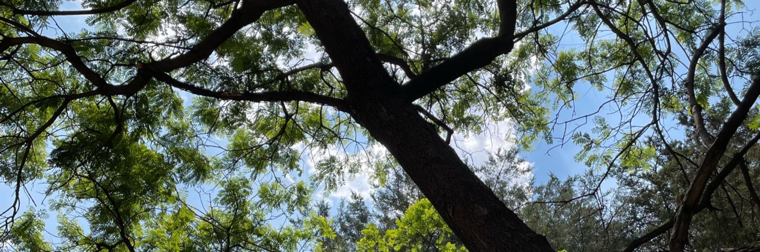 LizethOlveraB_'s profile banner image