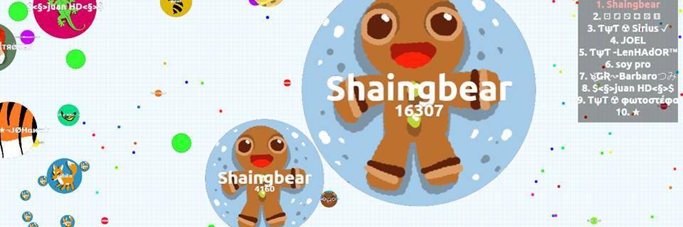 shaingbear1's profile banner image