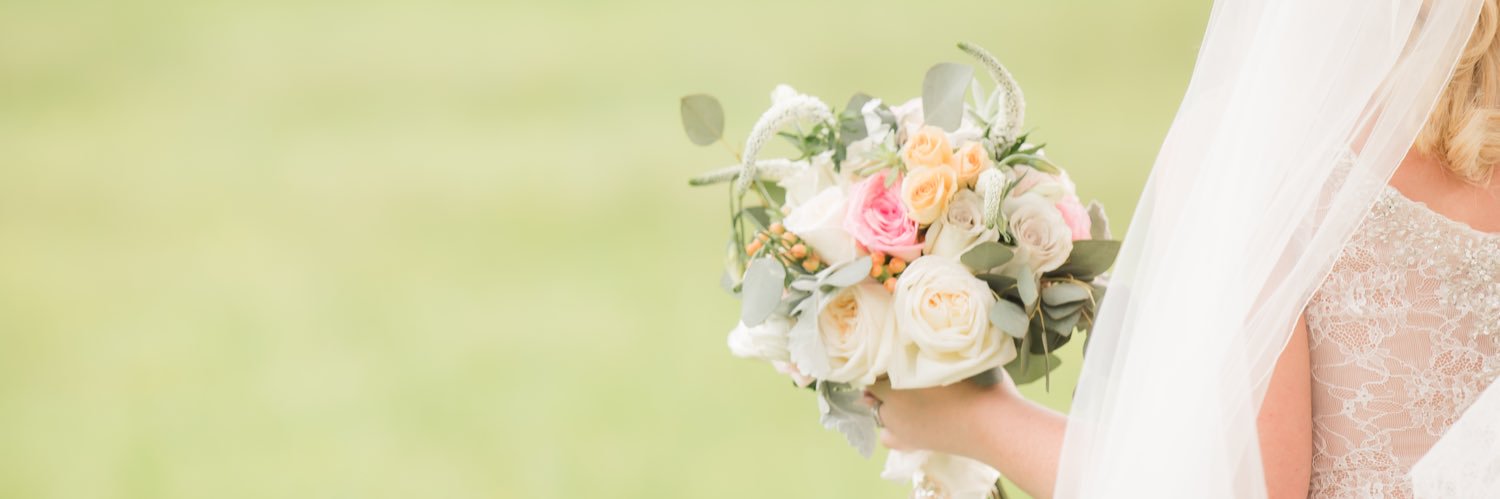 sileigh11's profile banner image