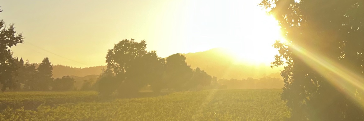 pmantooth's profile banner image