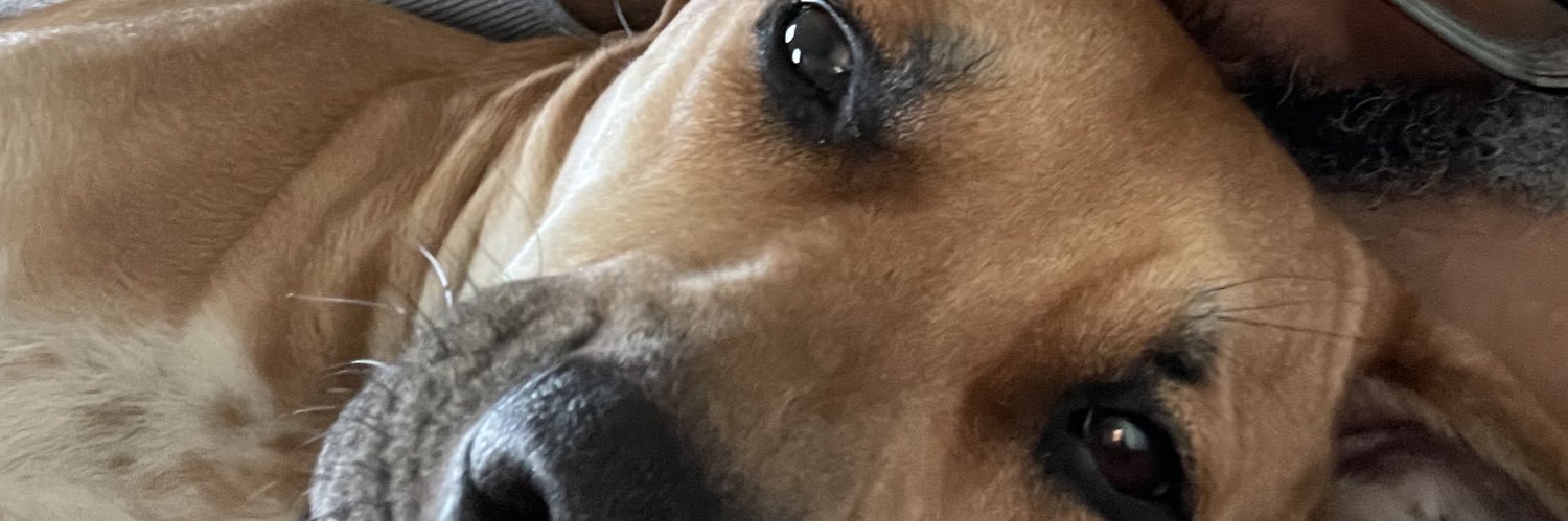 Jason L. Ball banner