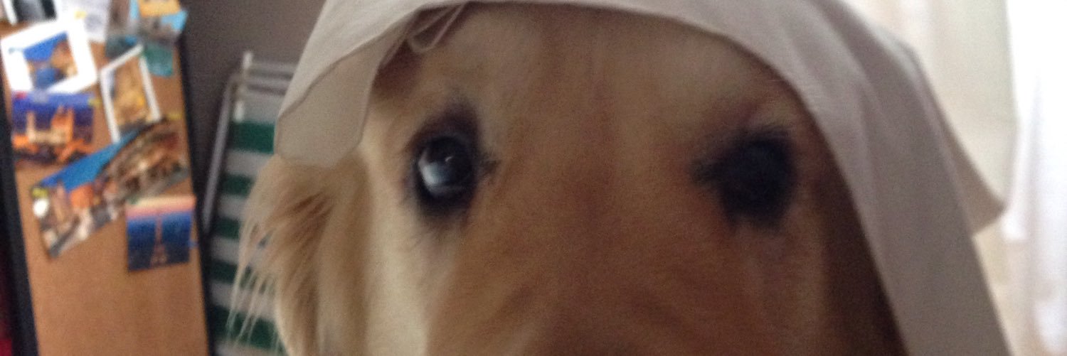 roro_martinez16's profile banner image