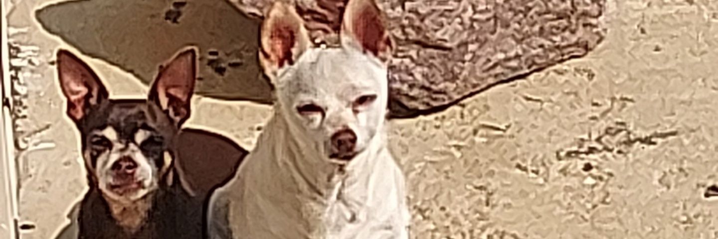 TheDivineChurro's profile banner image