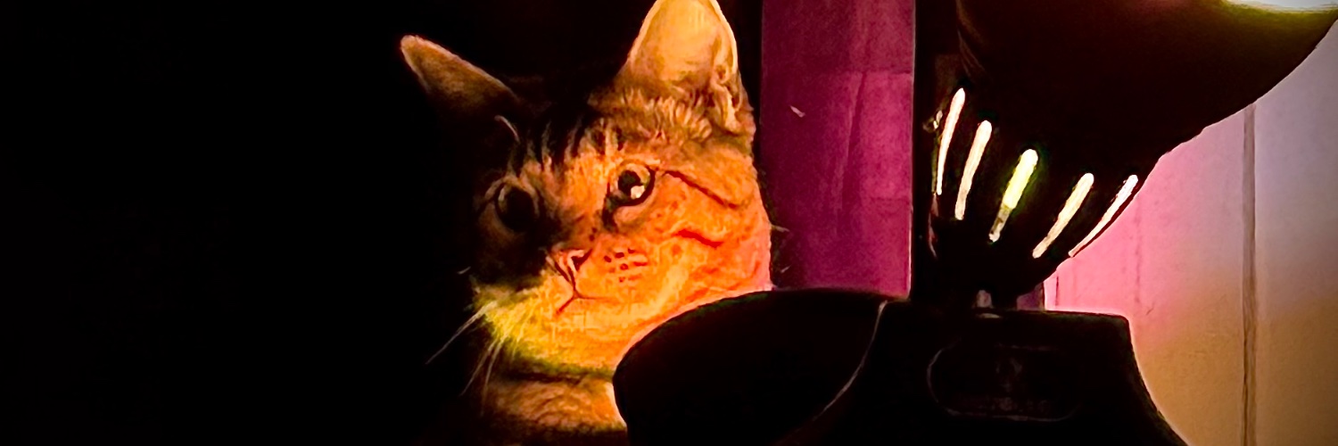 CocaineSloth's profile banner image