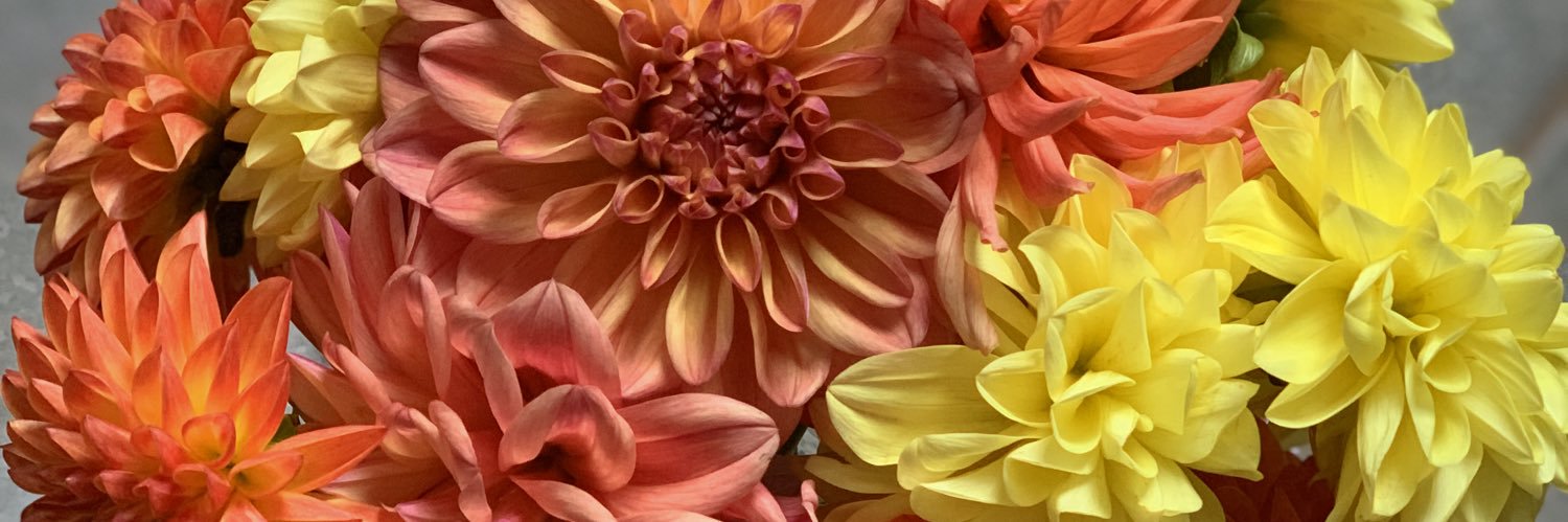 camiipagowski's profile banner image