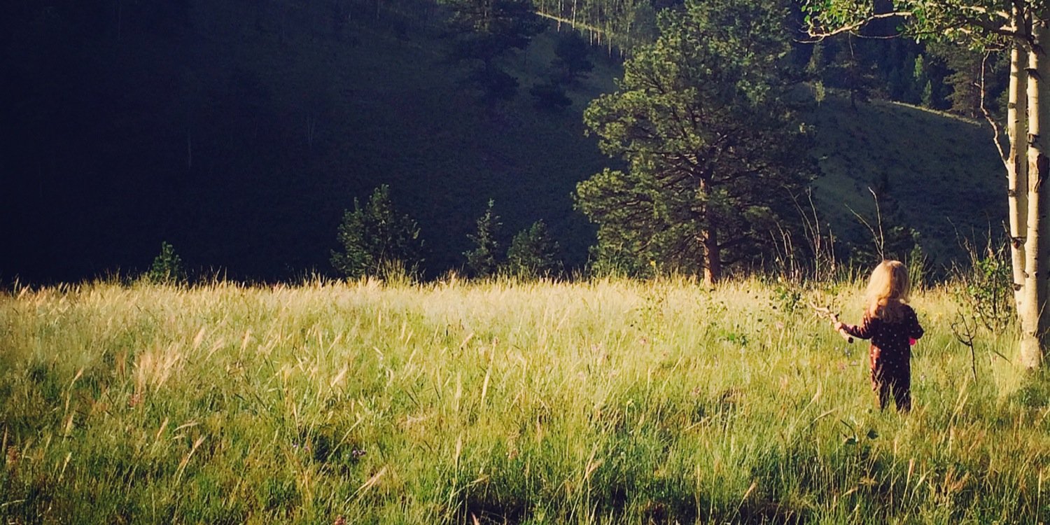 sweepea1125's profile banner image