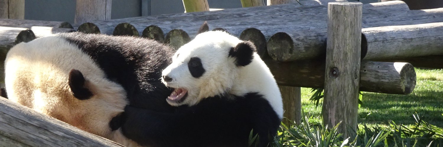 jimbowboo's profile banner image