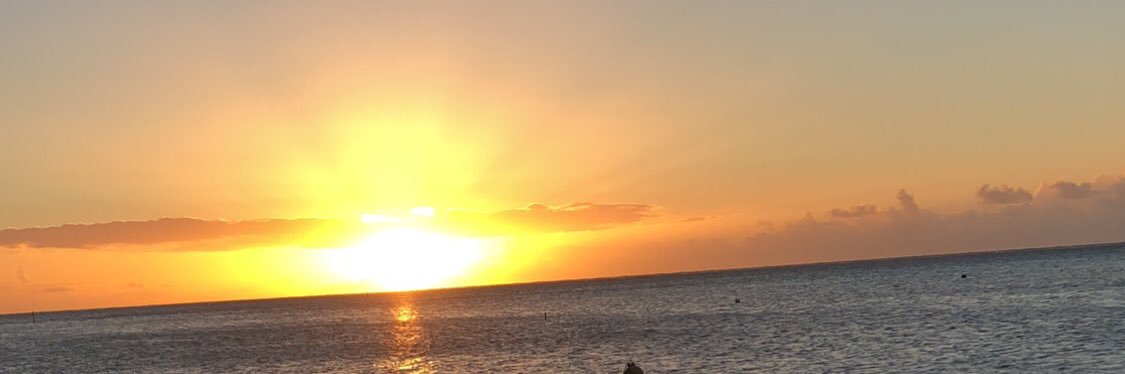 hajaahf's profile banner image