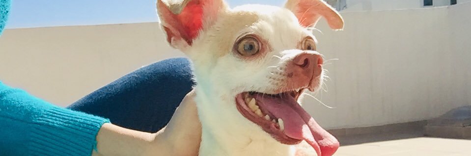 Jazmind_15's profile banner image