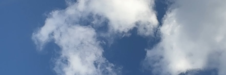 shhrrlee's profile banner image