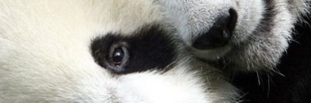 PirlouitM's profile banner image