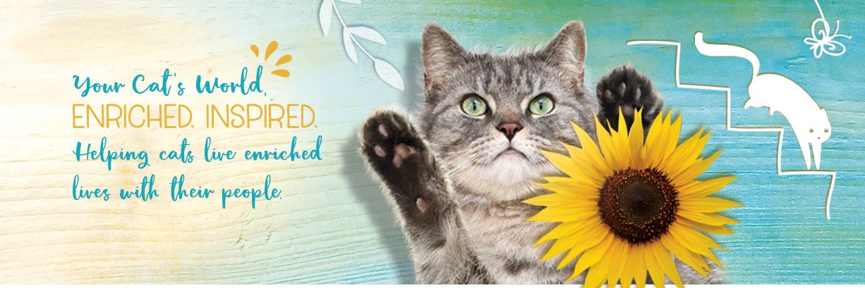 Chirpycats's profile banner image