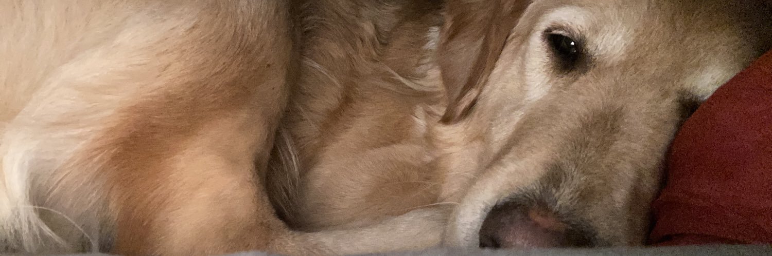 markerner2's profile banner image