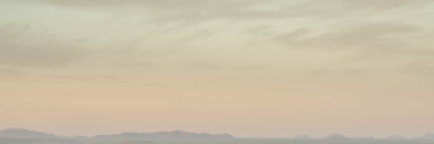 seacatband's profile banner image