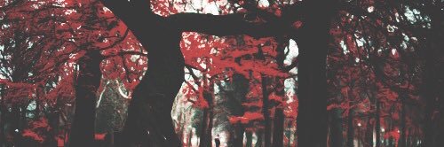 holidayfeels's profile banner image