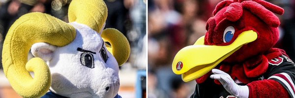 DrRobin_UofSC Profile Banner